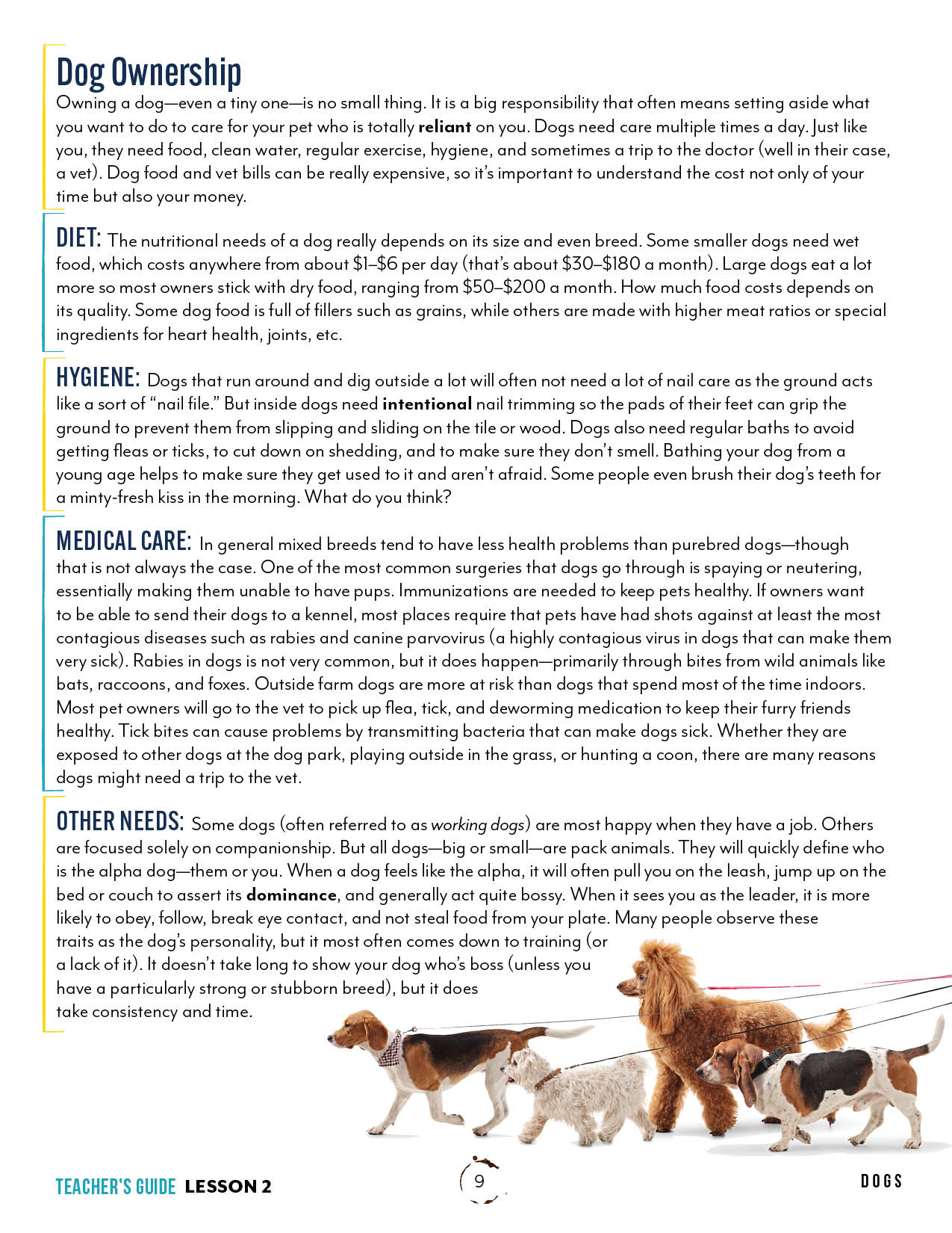 Pets Unit (Printed Books)