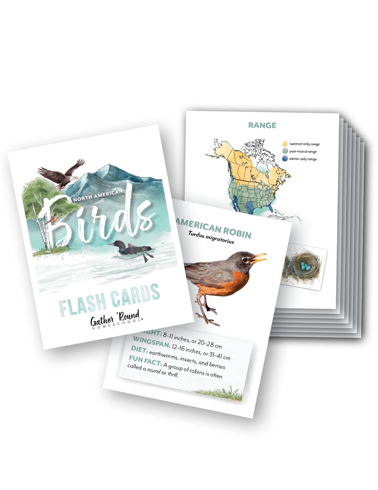 North American Birds Part 2 Flashcards (Printed)