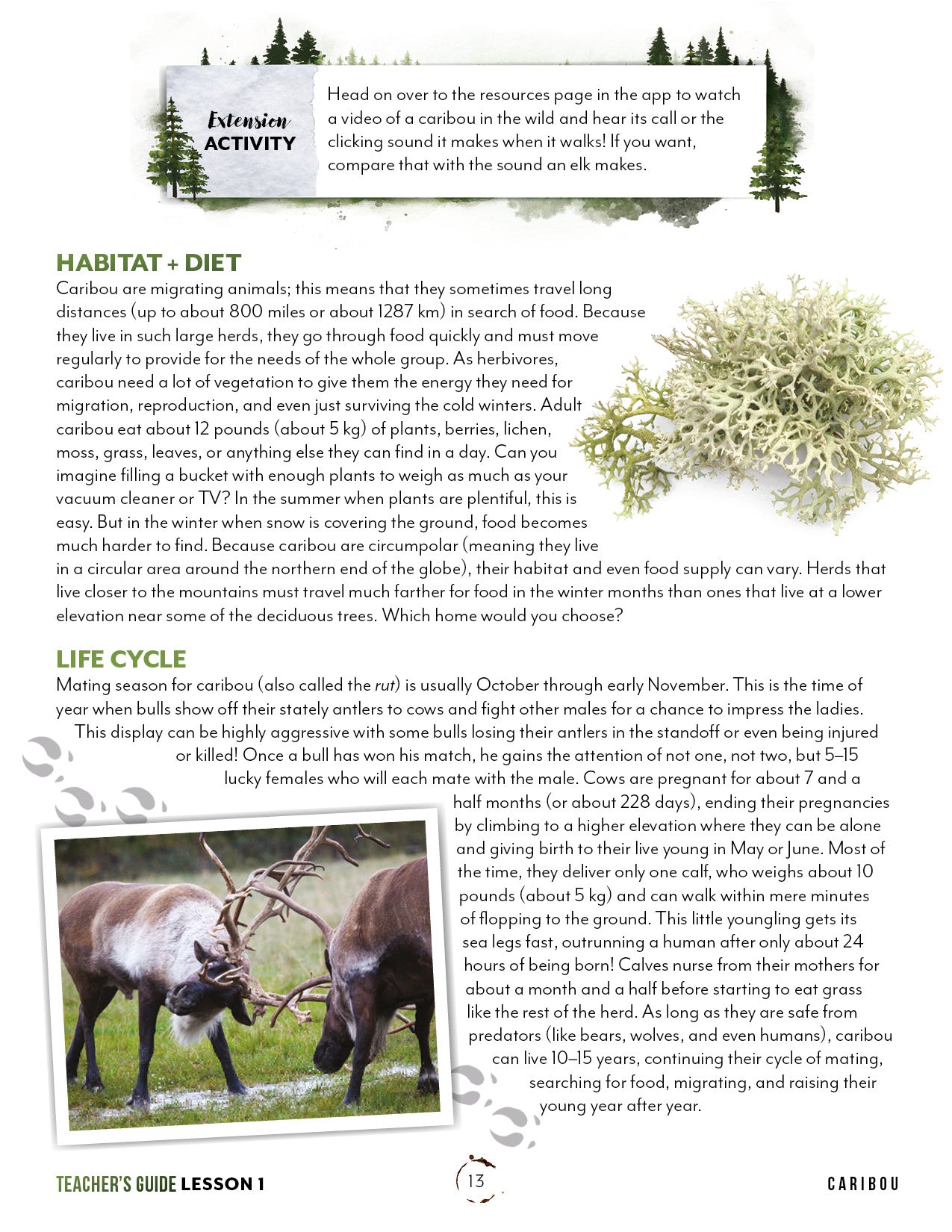 North American Forest Animals Unit (Printed Books)