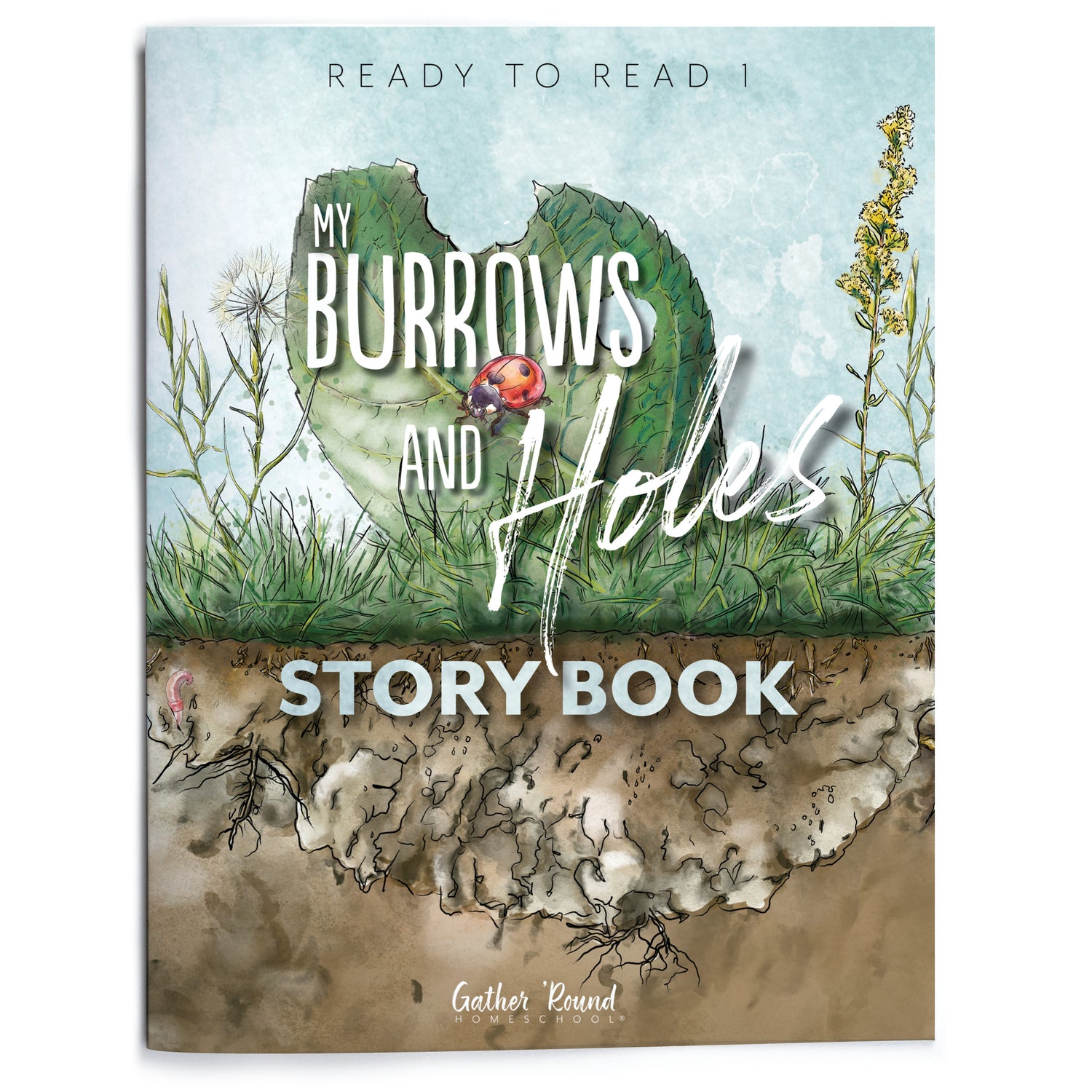 Ready to Read 1: Burrows and Holes Story Book