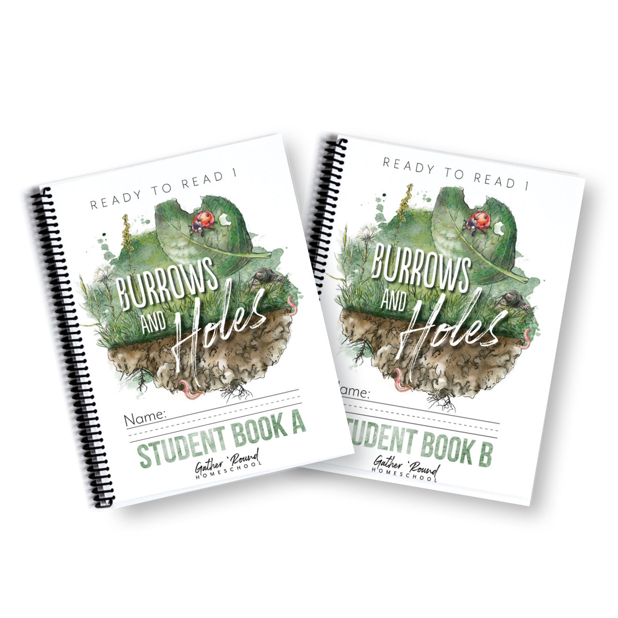 Ready to Read 1 (Printed Books)