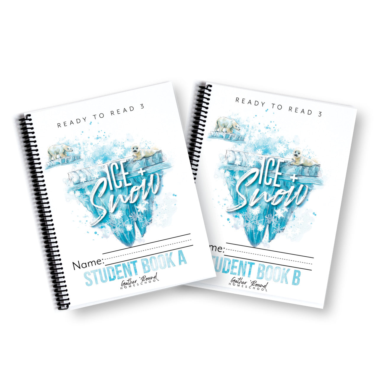 Ready to Read 3 (Printed Books)