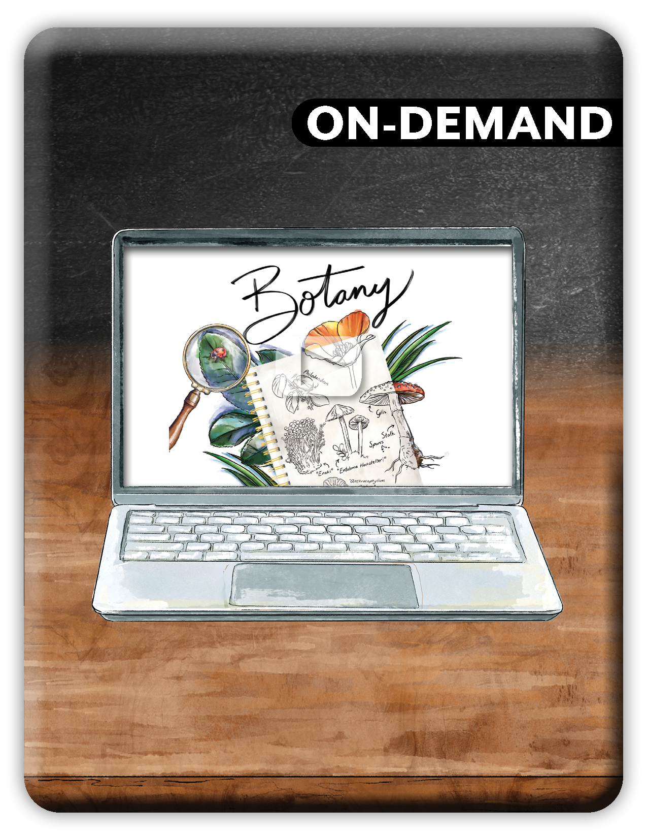 Botany (On Demand)