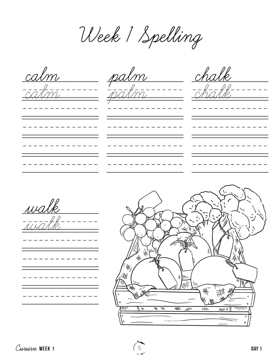 7 Days of The Week Cursive Handwriting Worksheets!