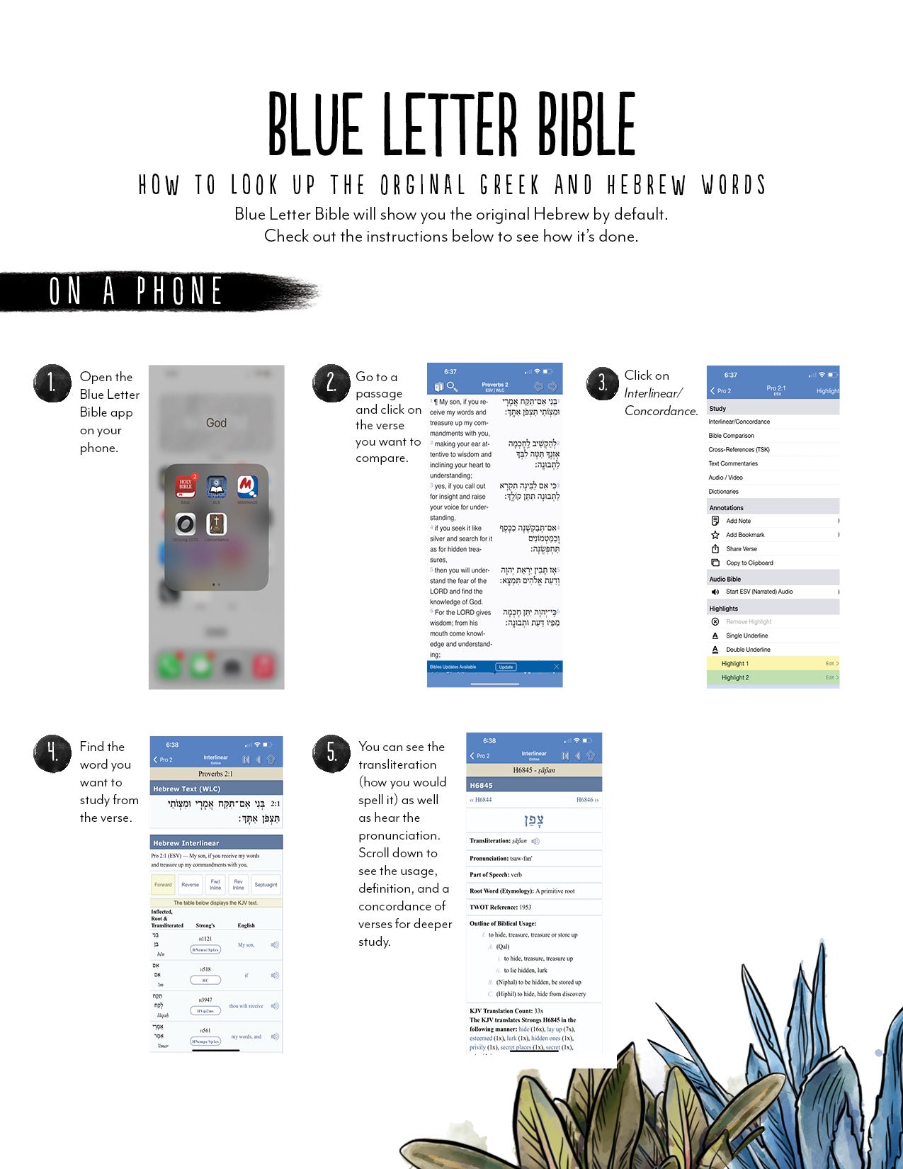 Battle Plan Digital Companion Study
