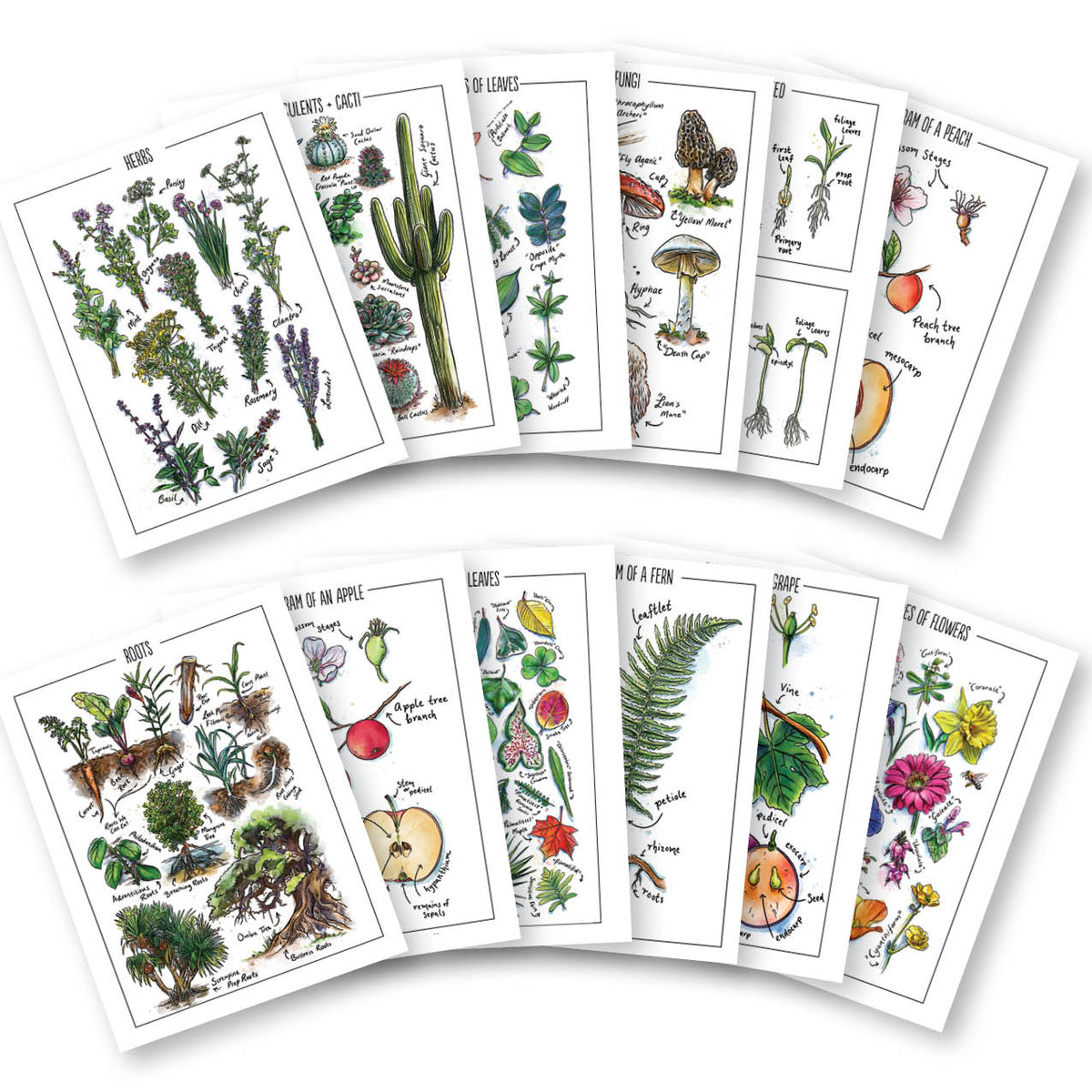 My Year Nature Journal Free Printable STICKERS! by Rebecca Writes Books