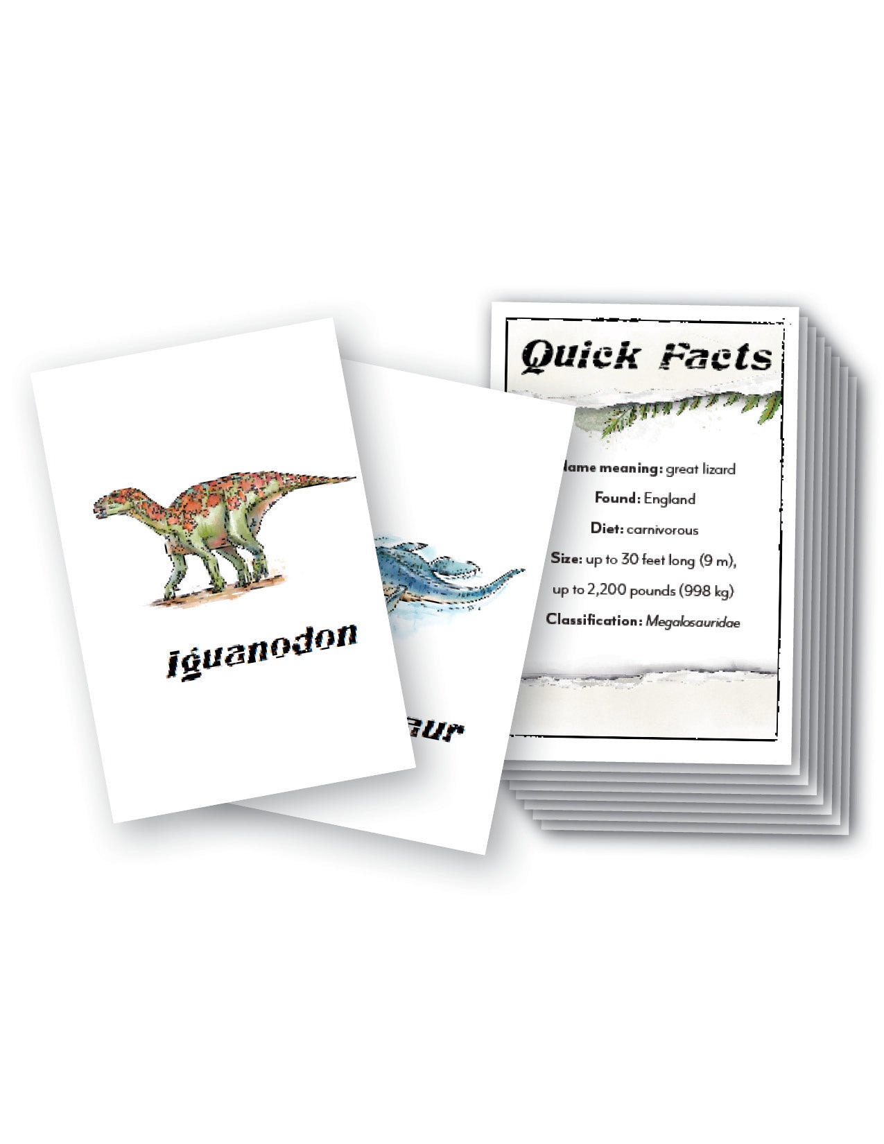 Dinosaurs Flashcards (Printed)