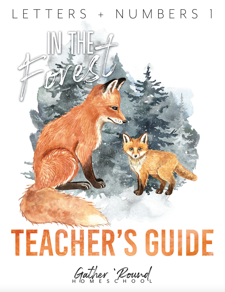 Letters and Numbers for Me Teacher's Guide [Book]