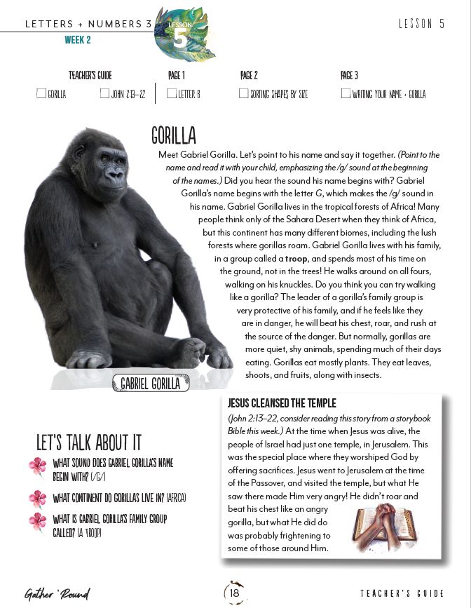 Letters + Numbers 3: Printed Books