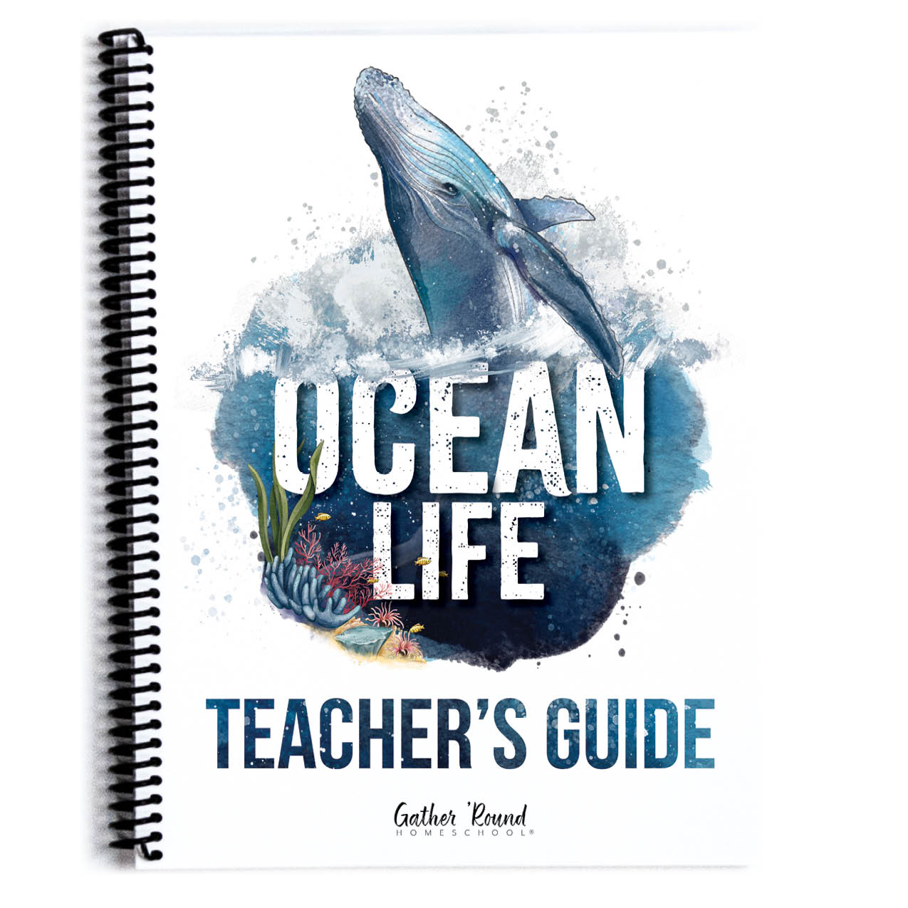 Ocean Life homeschool unit study curriculum collection