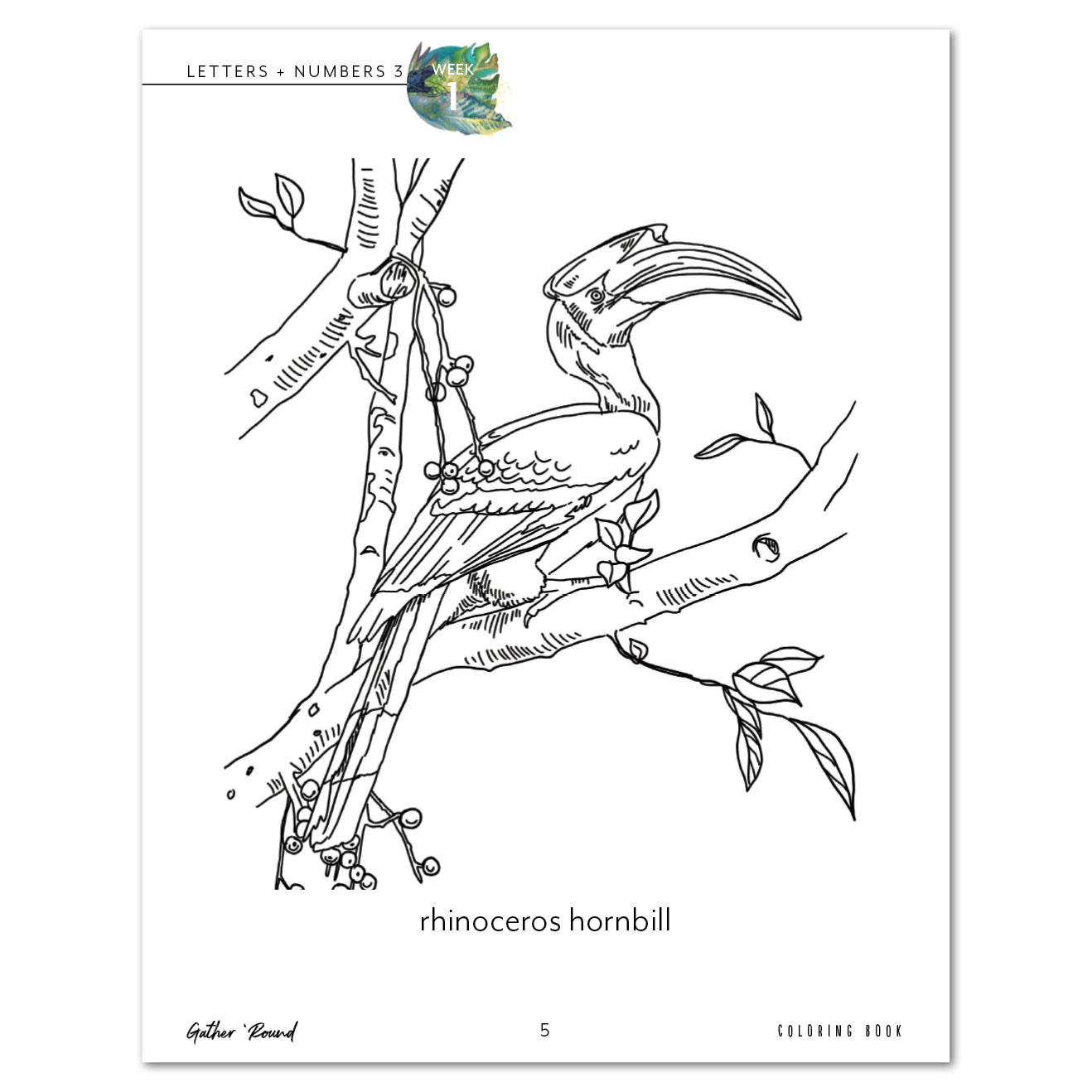 Letters + Numbers 3 In The Jungle Printed Coloring Book Week 1 Rhinoceros Hornbill