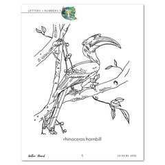 Letters + Numbers 3 In The Jungle Printed Coloring Book Week 1 Rhinoceros Hornbill