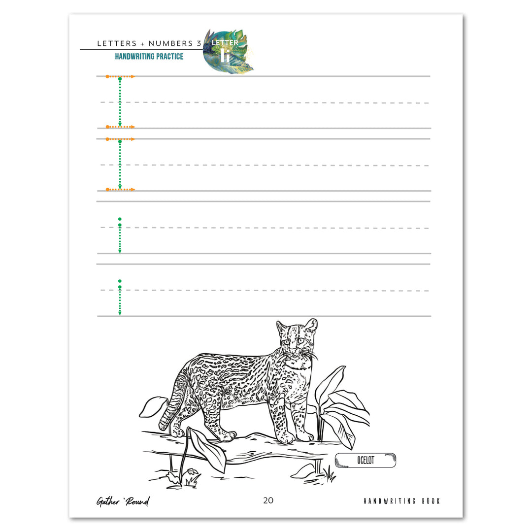 Letters + Numbers 3: Handwriting Book (Print) – Gather 'Round ...