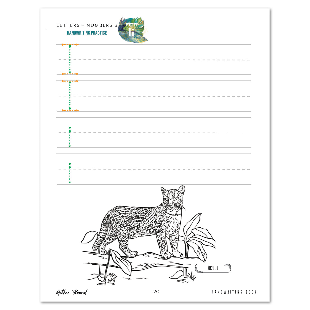 Letters + Numbers 3 In The Jungle Printed Handwriting Book Letter Ii practice