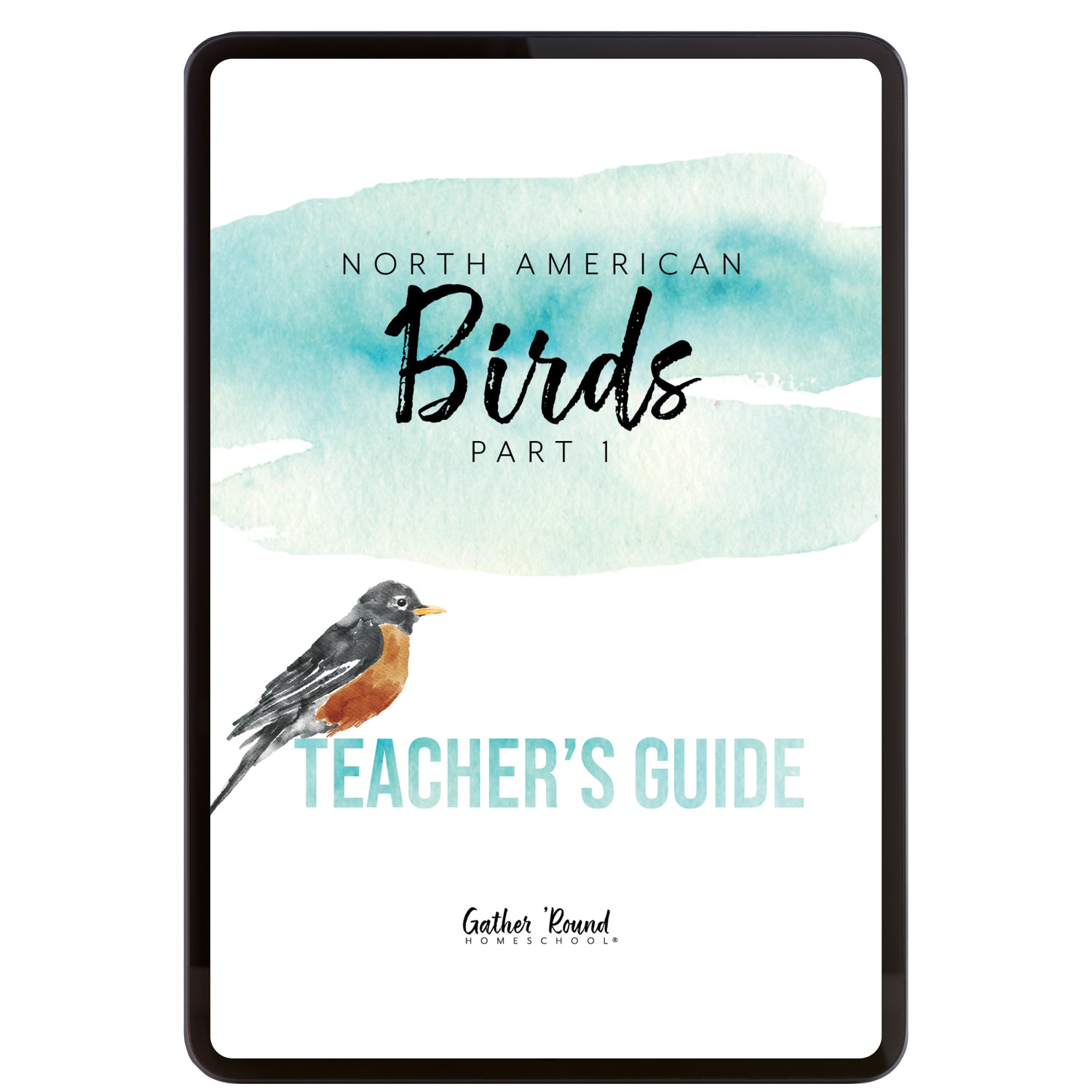 North America Birds part 1 homeschool unit study digital Teacher's Guide