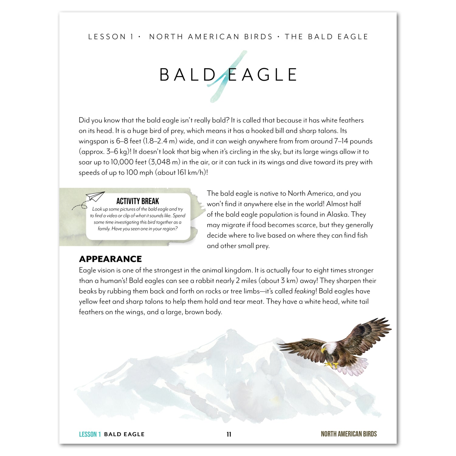 North America Birds part 1 homeschool unit study digital Teacher's Guide lesson one