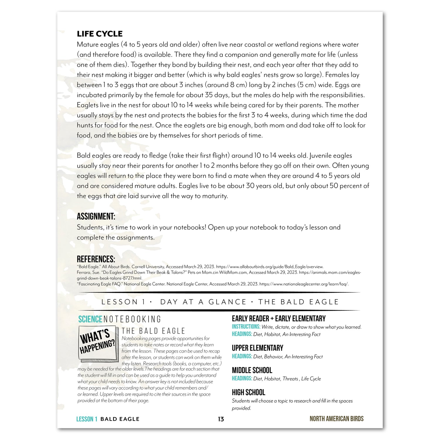 North America Birds part 1 homeschool unit study digital Teacher's Guide lesson one part two