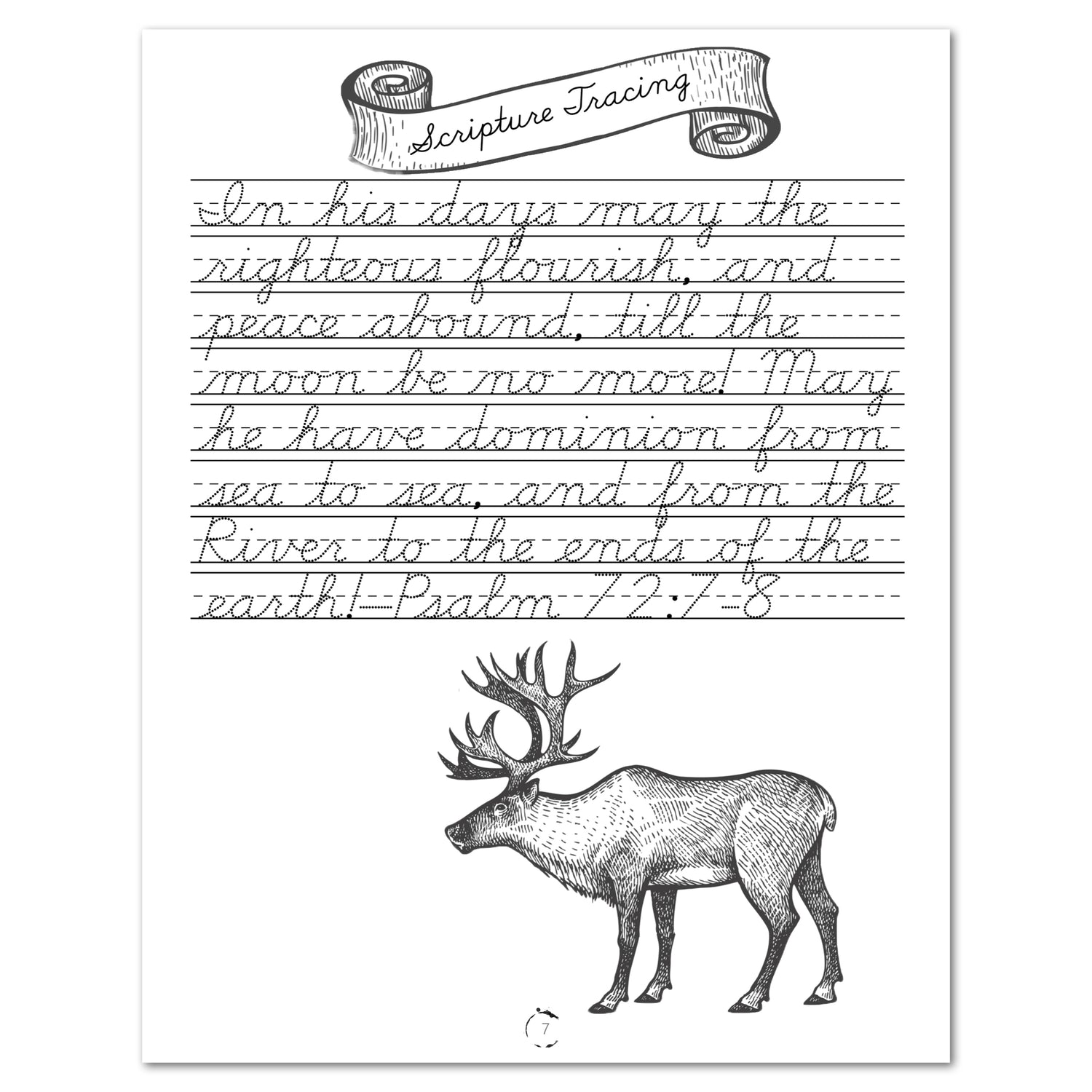 North America Cursive Writing (Printed Book)