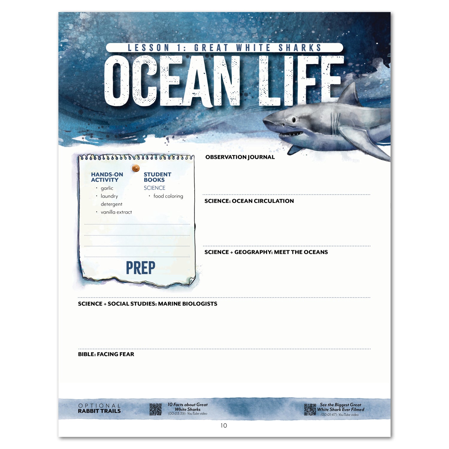 Ocean Life homeschool unit study print unit planner preparation  lesson 1 great white sharks