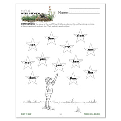 Ready to Read 1 Burrows and Holes Homeschool Unit Study Printed Phonics Skill Builders Week 2 Review