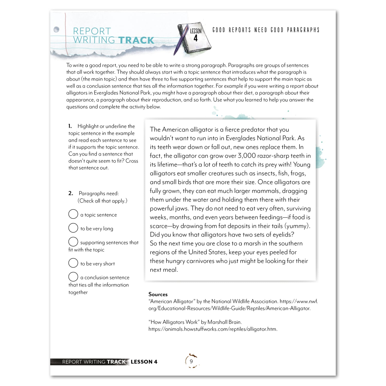 Report Writing Track Homeschool Unit Study Printed Student Book Lesson 4 Good Reports Need Good Paragraph