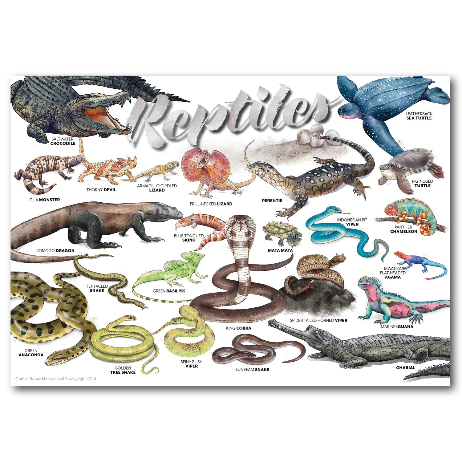 Reptiles homeschool unit study printed poster with snacks, crocodile, and other retiles