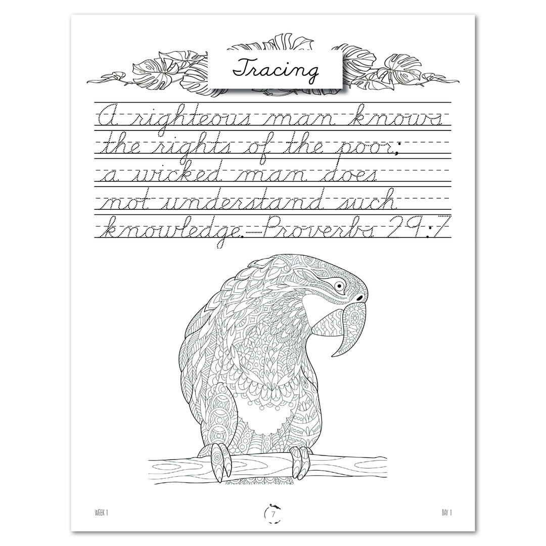 South America Cursive (Digital Download) – Gather 'Round Homeschool USA