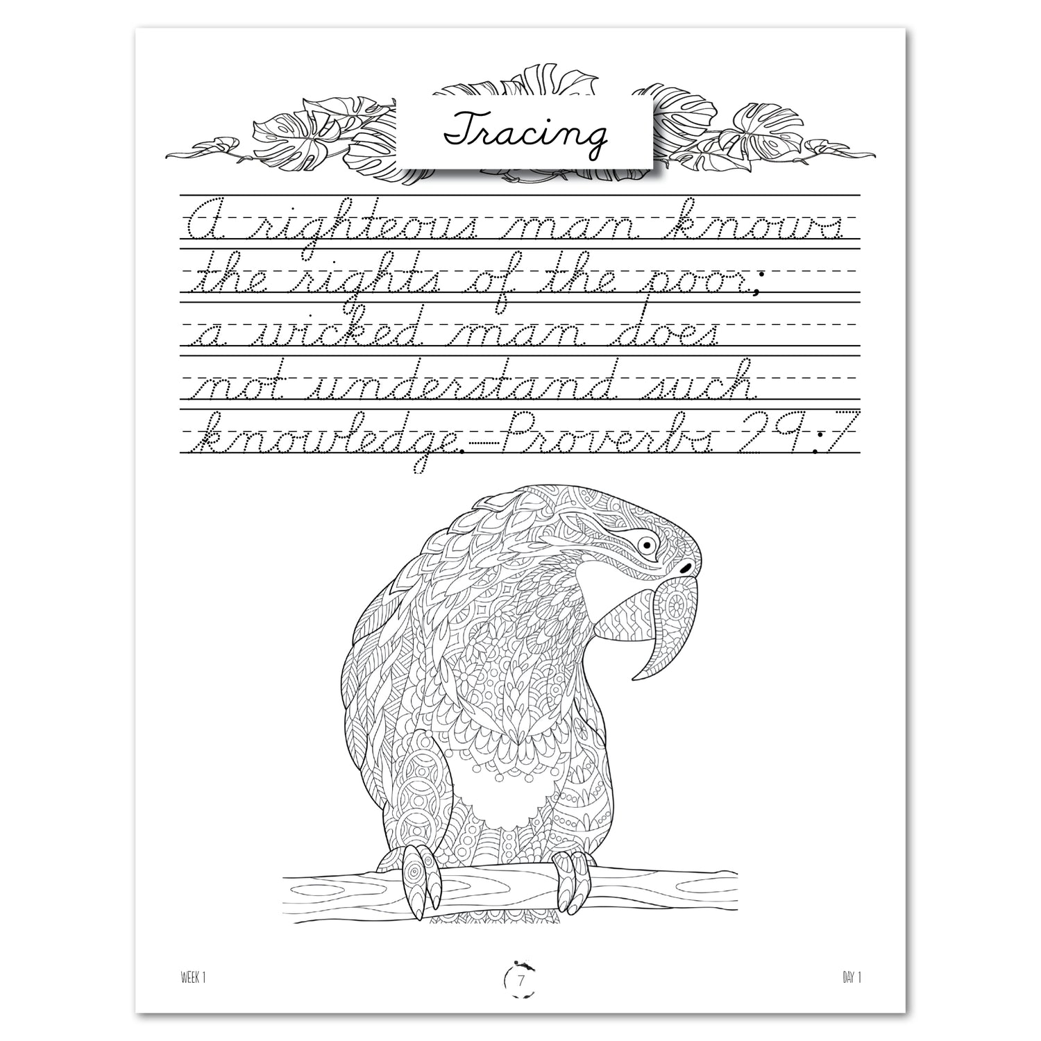 South America homeschool unit study digital student workbook, Cursive workbook tracing