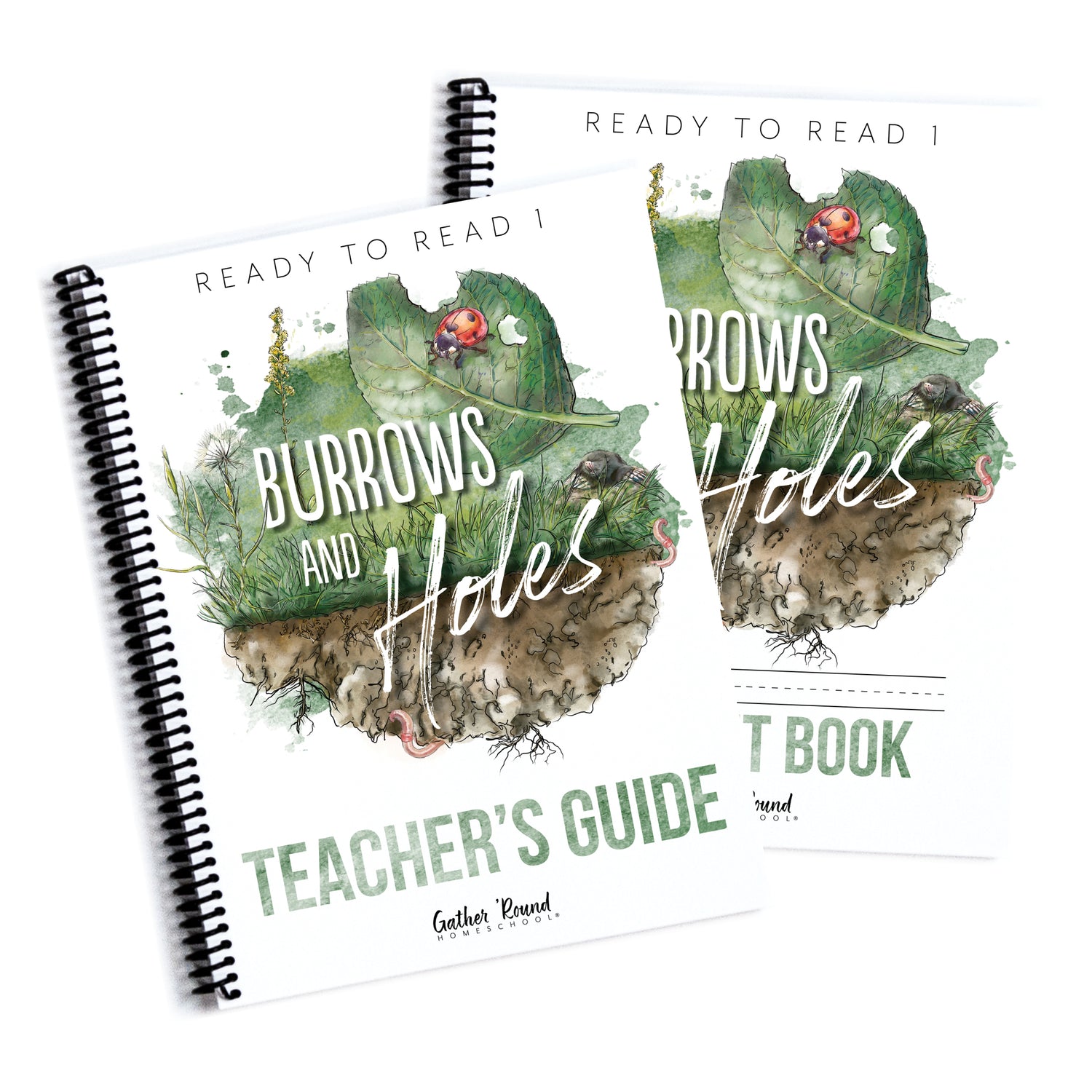 Ready to Read 1 (Printed Books)