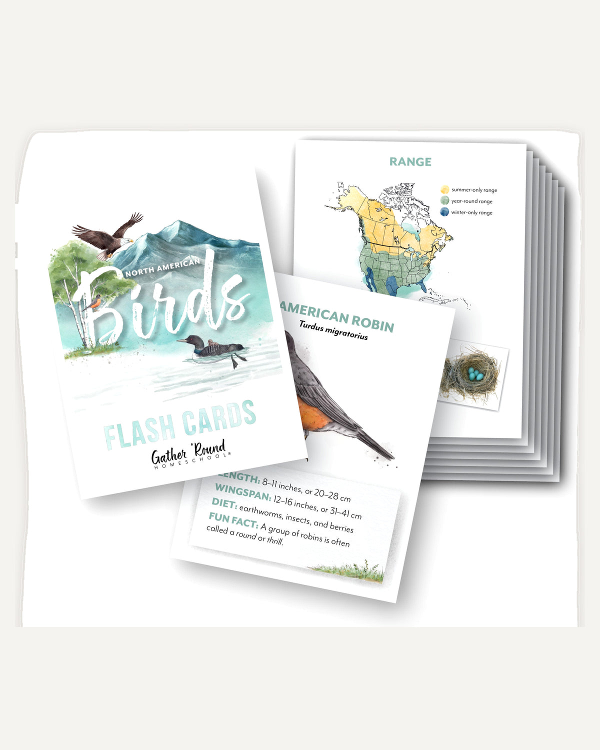 North American Birds part two homeschool unit study printed flashcards