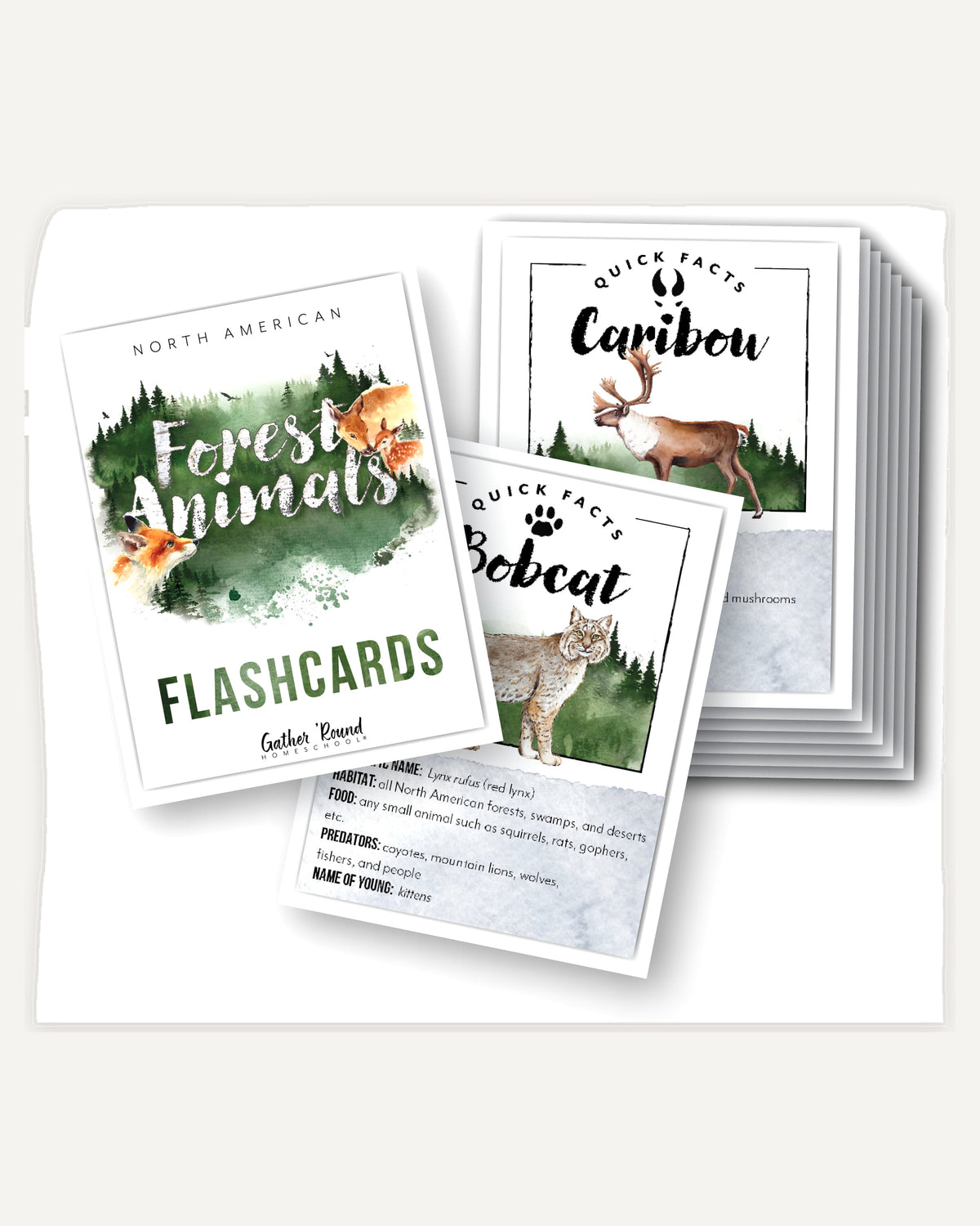 North American Forest Animals homeschool unit study print student flashcards on cardstock