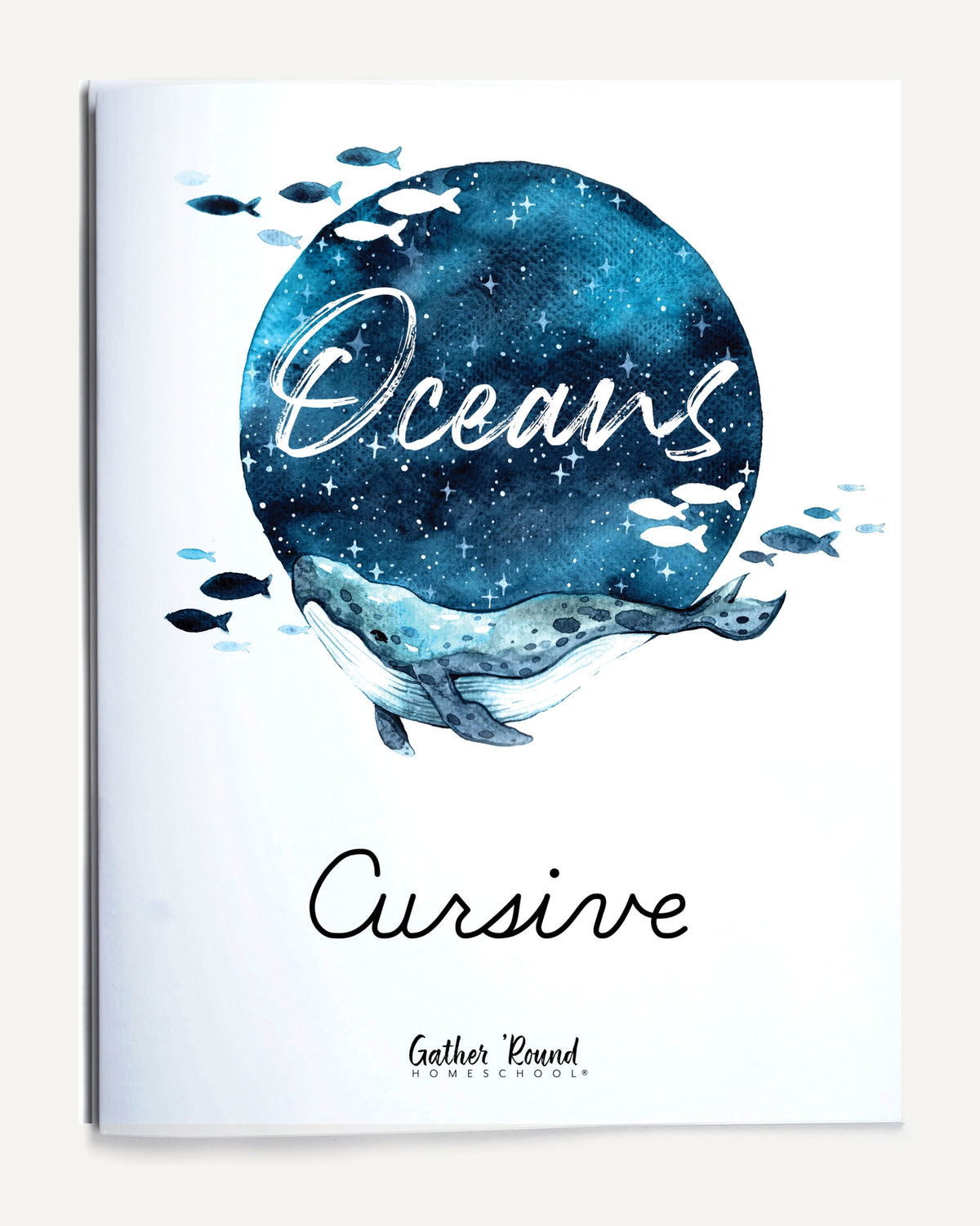 Oceans homeschool unit study print student workbook cursive