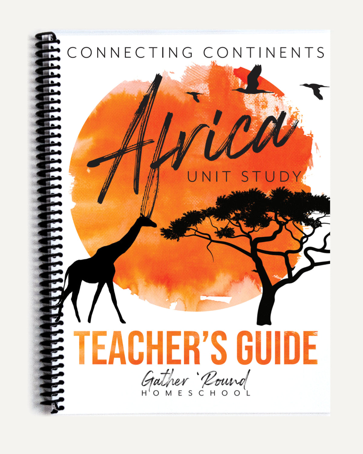 Africa homeschool unit study teacher guide printed book