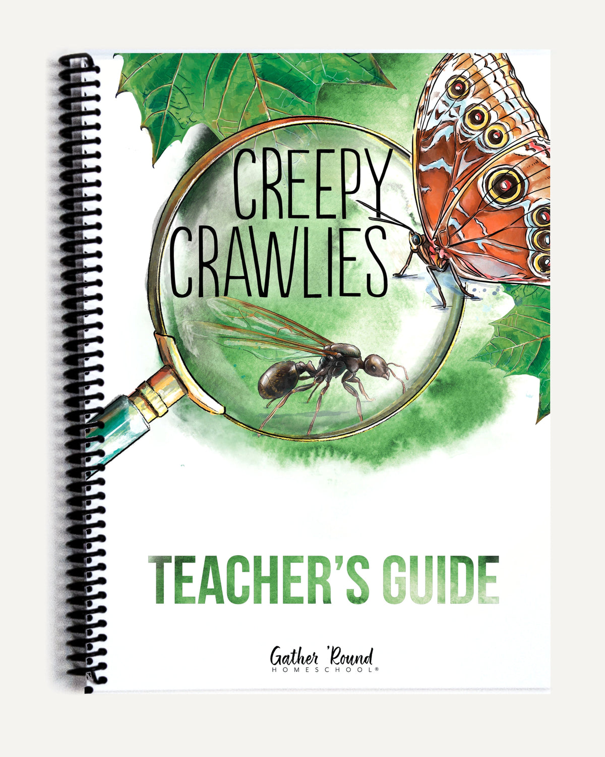 Creepy Crawlies Homeschool Unit Study Printed Teacher's Guide