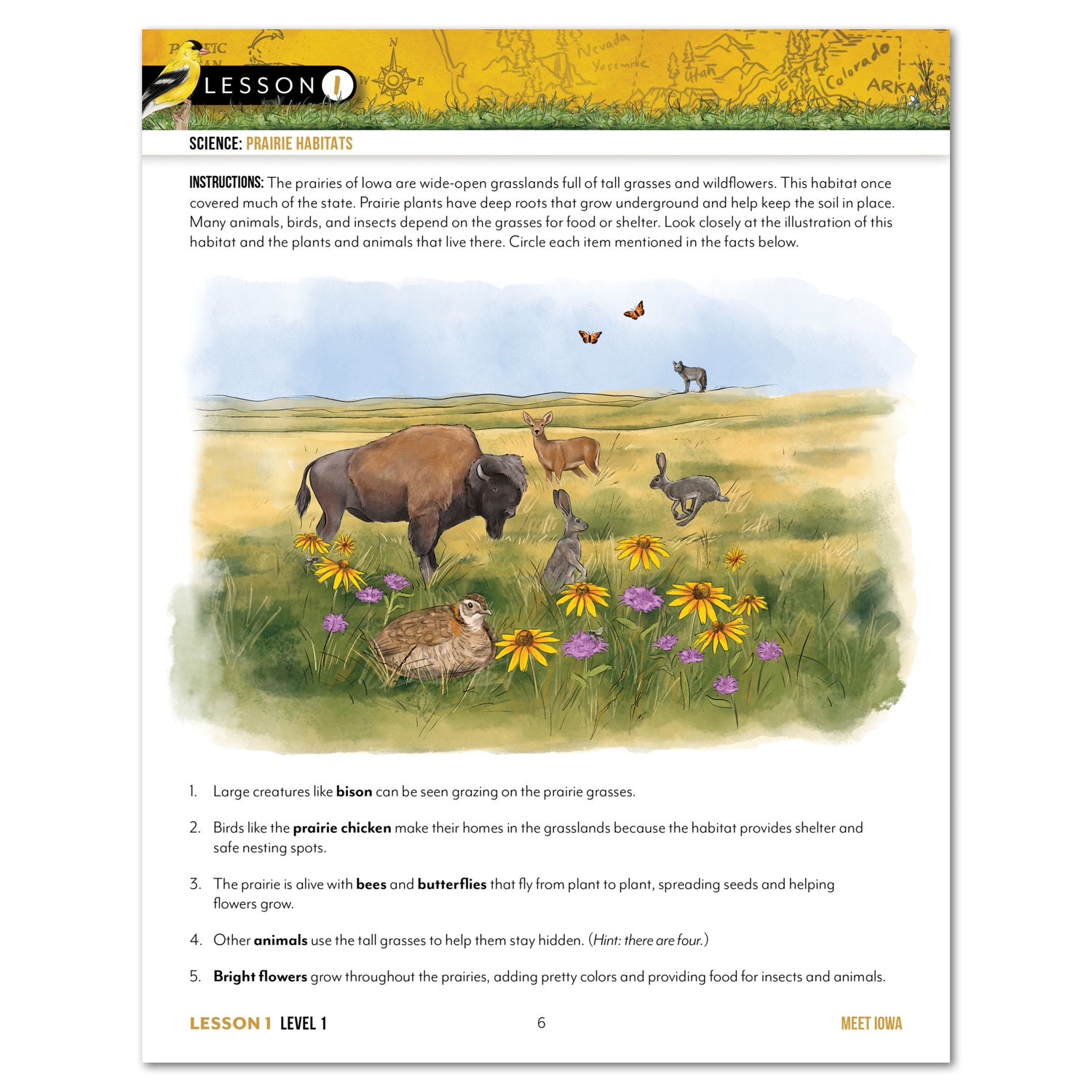 Iowa Fifty States Homeschool Unit Study Printed Student Book Level 1 Lesson 1 Page