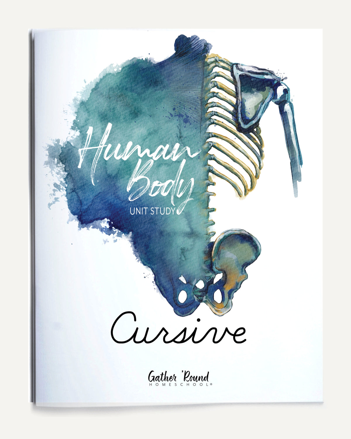 Human Body homeschool unit study printed student workbook in cursive