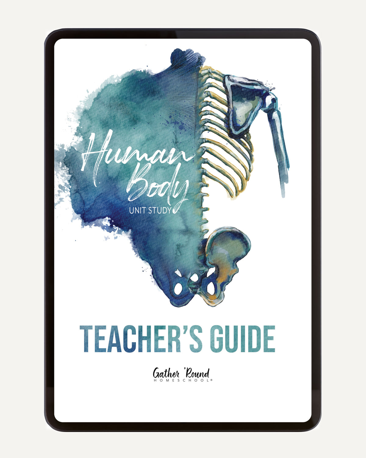 Human Body homeschool unit study digital teacher guide