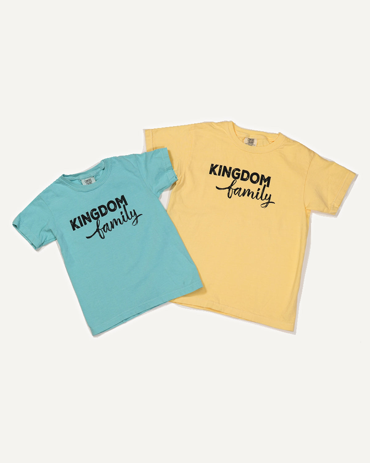 Youth Kingdom Family T-Shirt (Comfort Colors) homeschool unit study, printed product image