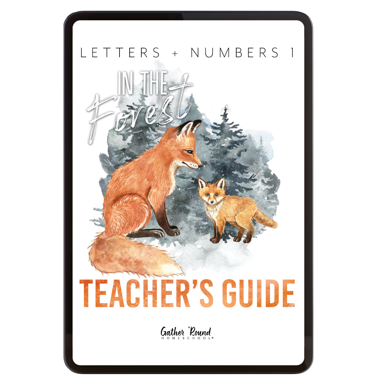 Letters + Numbers 1 In The Forest Homeschool Unit Study Digital Teacher's Guide