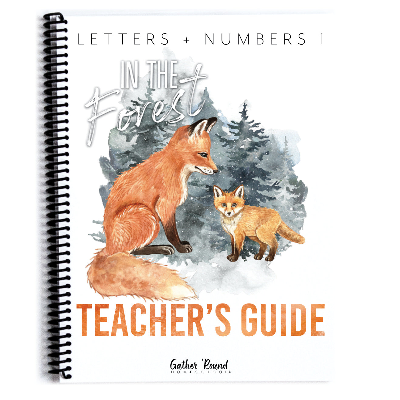 Letters + Numbers 1 Homeschool Unit Study In The Forest Printed Teacher's Guide