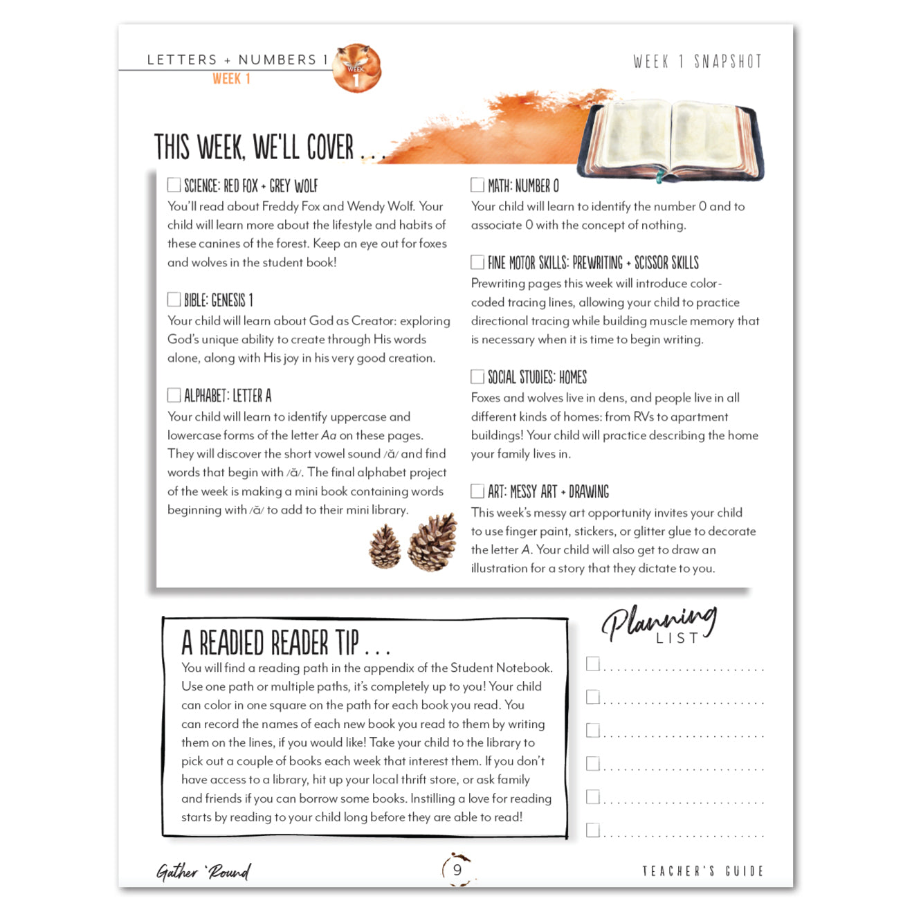 Letters + Numbers 1 In The Forest Homeschool Unit Study Digital Teacher's Guide Week 1 Snapshot