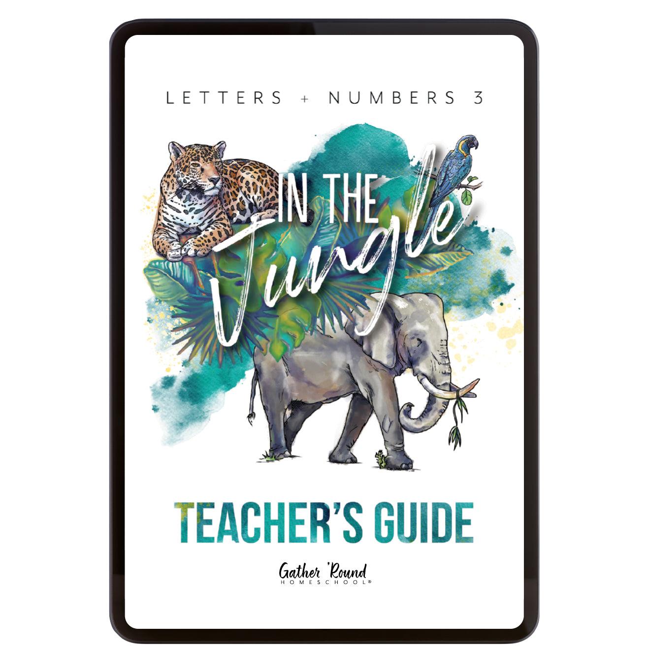 Letters + Numbers 3 In The Jungle Digital Teacher's Guide 