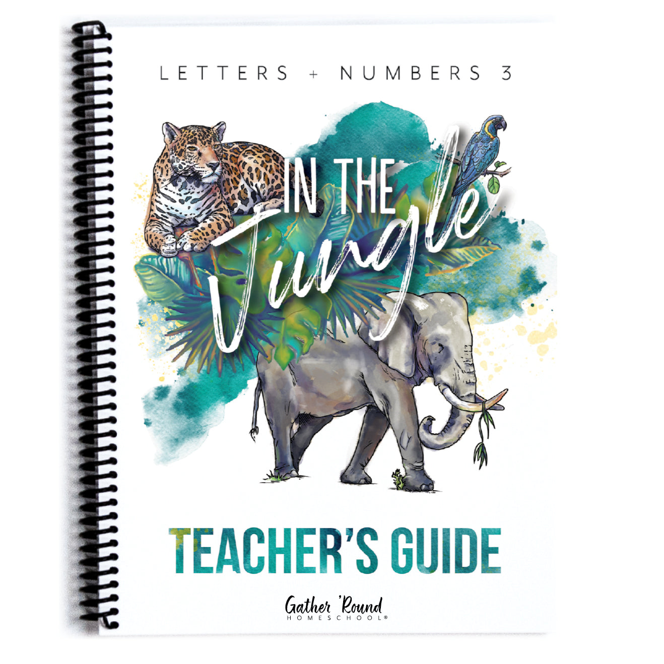 Letters + Numbers 3 In The Jungle Printed Teacher's Guide 