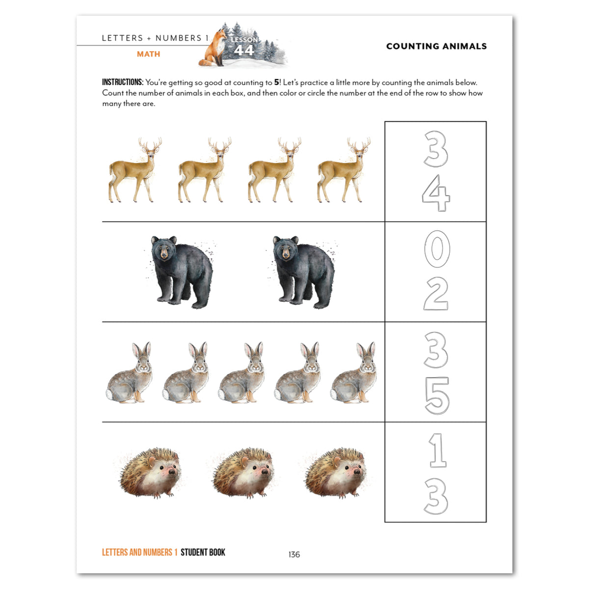 Letters + Numbers 1: Digital Bundle