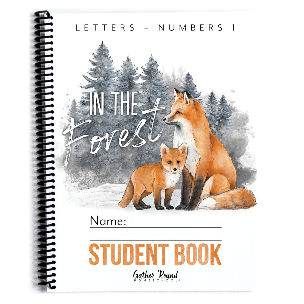 Letters + Numbers 1: Printed Books