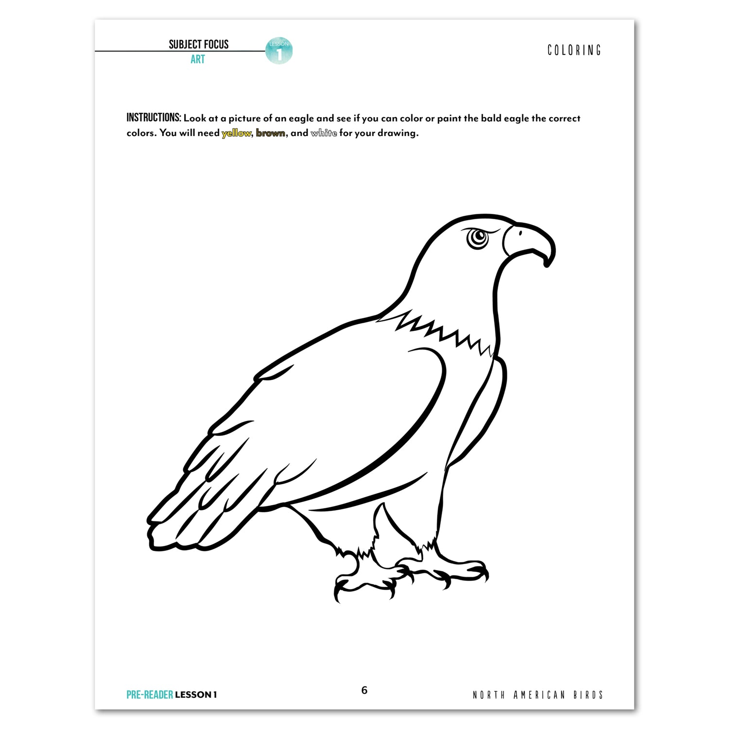 North America Birds part 1 homeschool unit study digital student workbook Pre-Reader with Teacher's Guide bundle lesson one