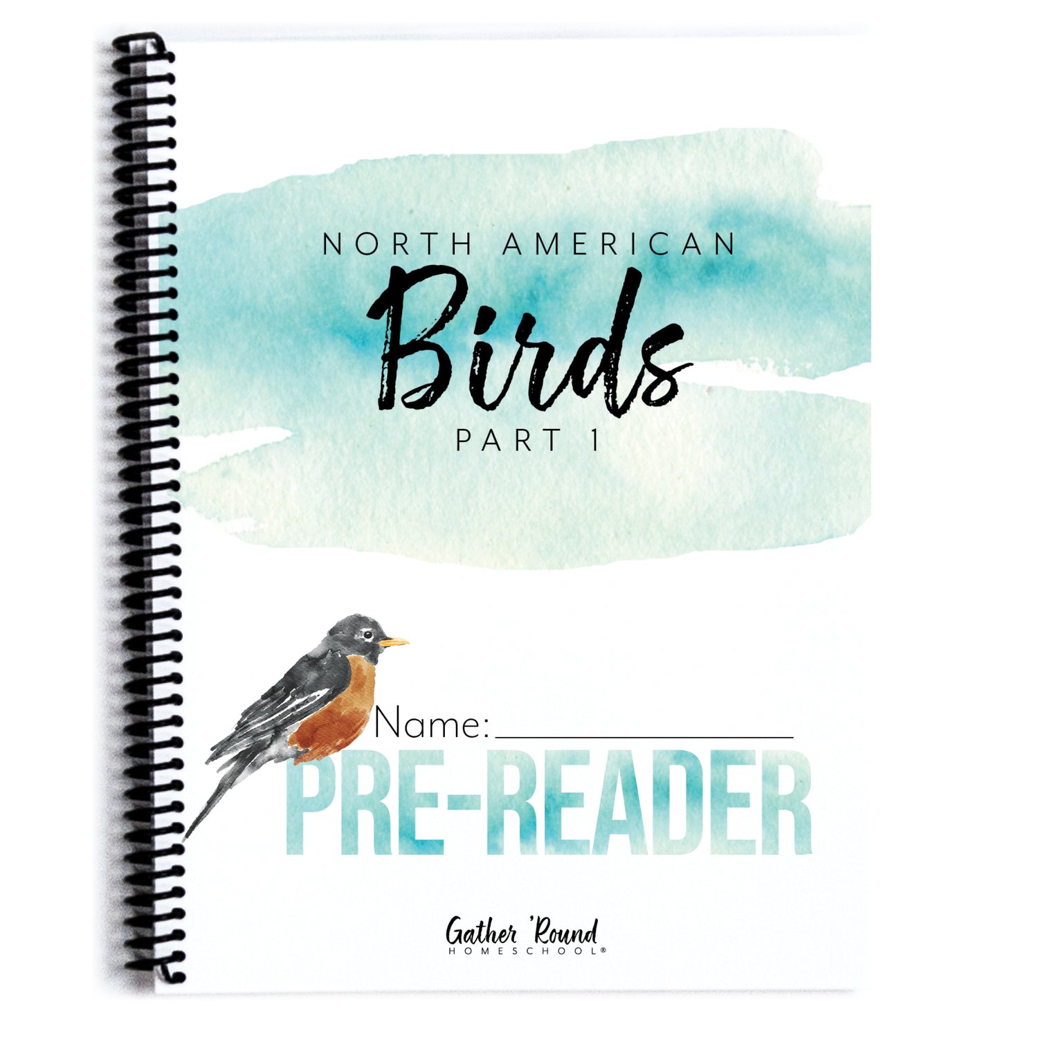 North America Birds part 1 homeschool unit study student workbook pre-reader