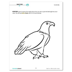 North America Birds part 1 homeschool unit study student workbook pre-reader lesson one