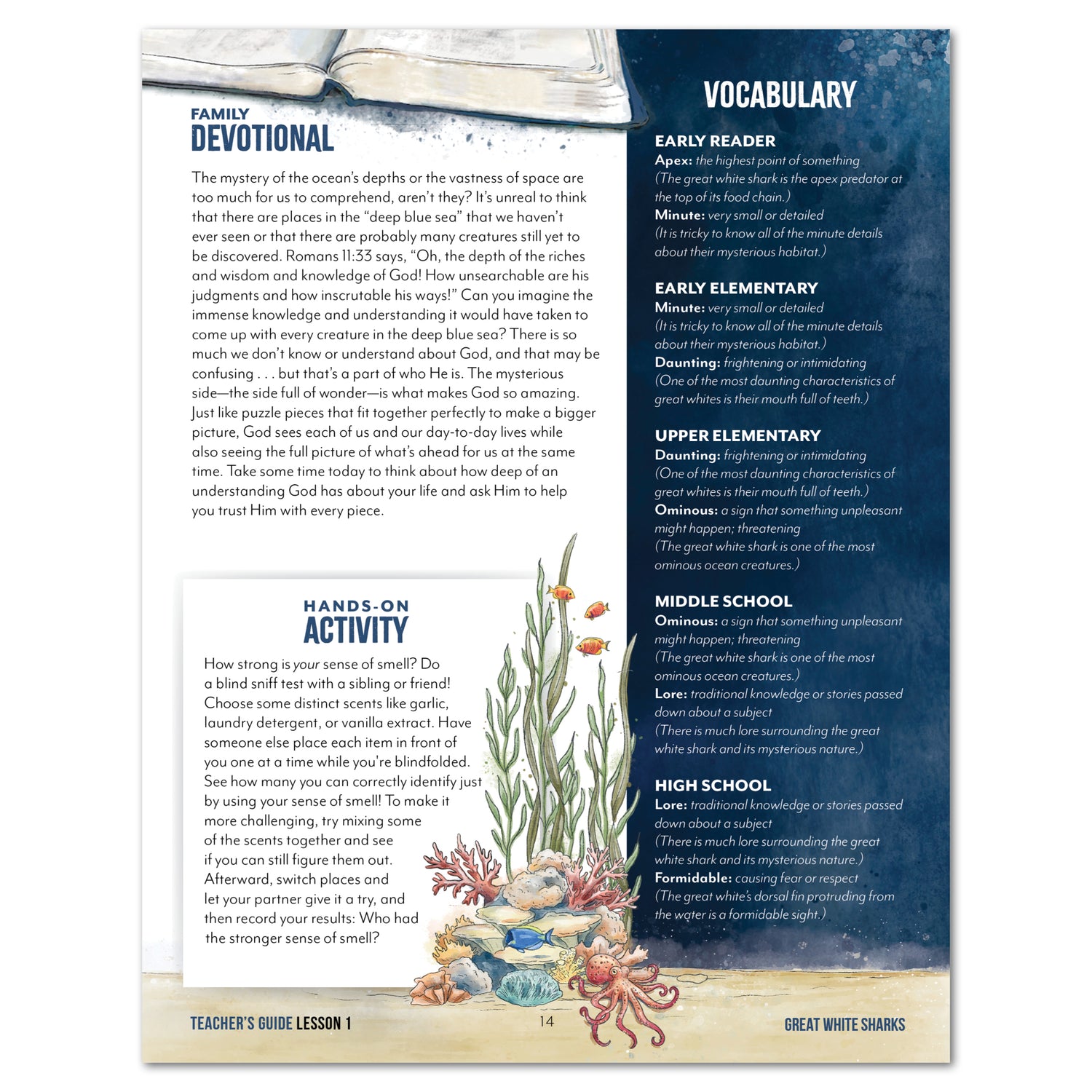Ocean Life homeschool unit study print teacher's guide family devotional