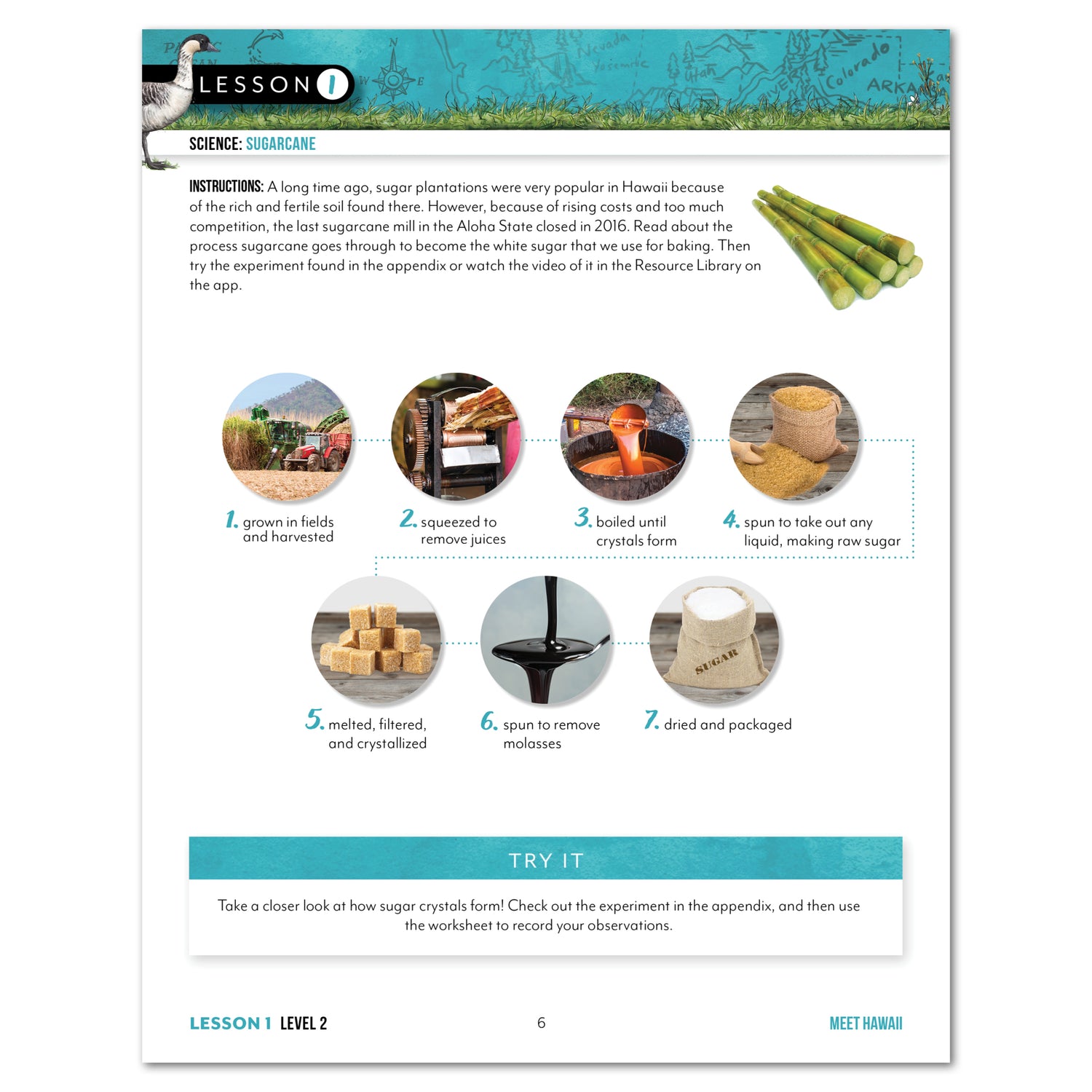 Hawaii Fifty States Homeschool Unit Study Printed Student Book Level 2 Lesson 1 Page
